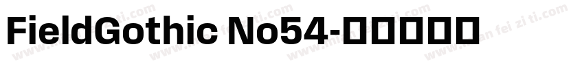 FieldGothic No54字体转换